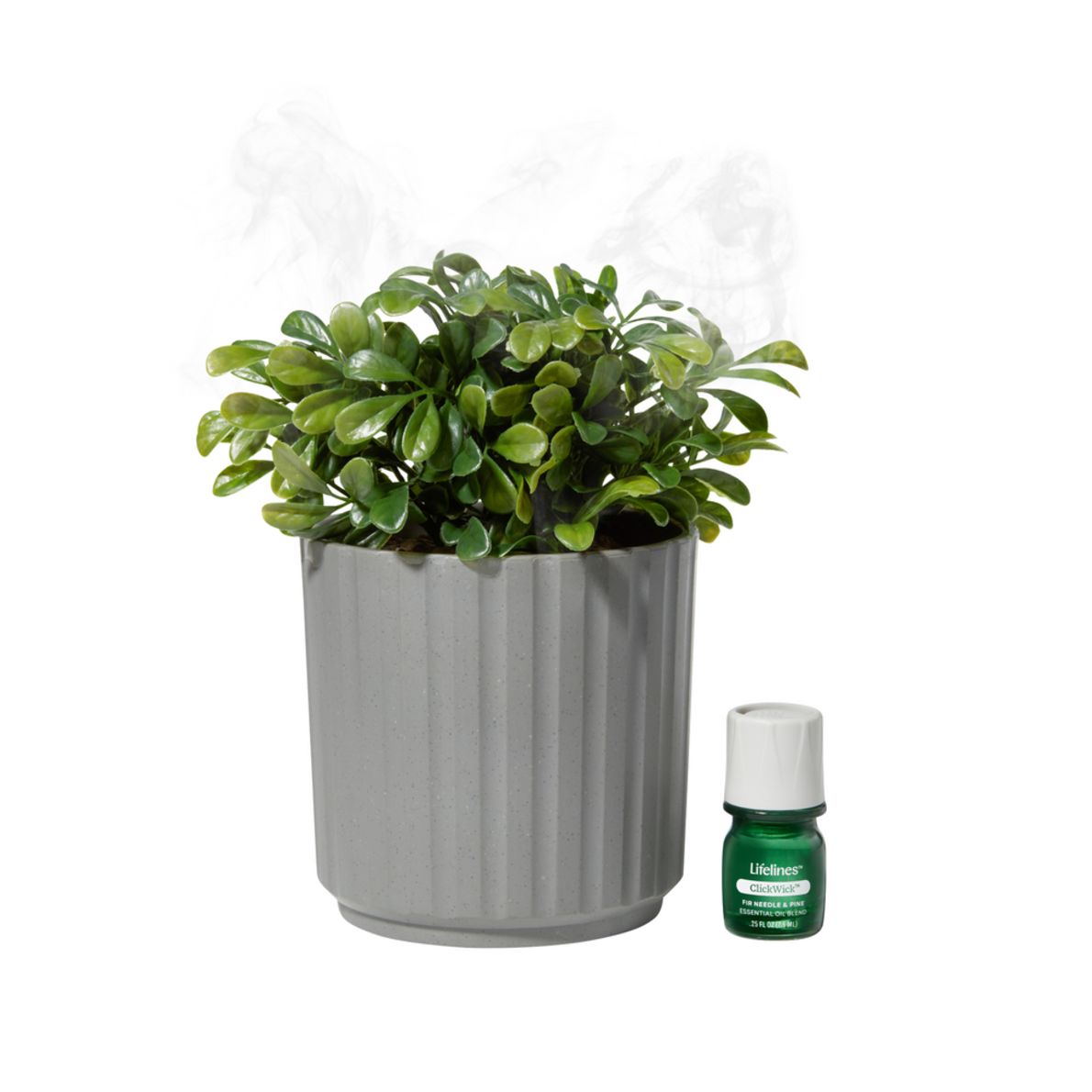 Planting Diffuser Lifelines Plant Diffuser