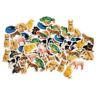 Colorations® Real Photo Animal Foam Stickers - 250 Pieces