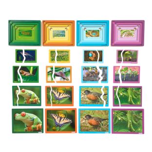 Excellerations® Layered Life Cycle Puzzles - Set of 4