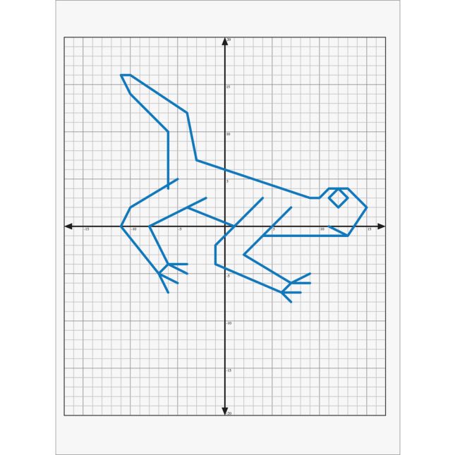 Coordinate Graphing Book - 1 Book