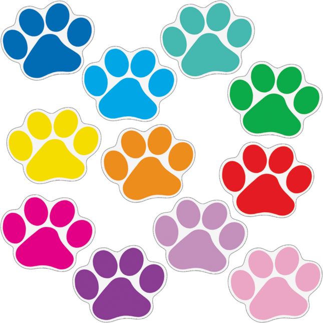 Student Name Paw Print Magnets - 32 magnets