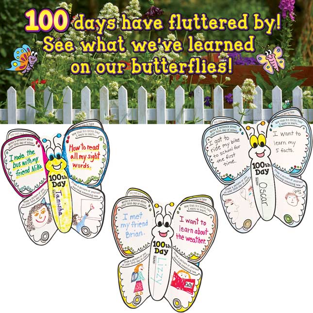 Ready-To-Decorate® 100th Day 3-D Butterfly Bulletin Board Set