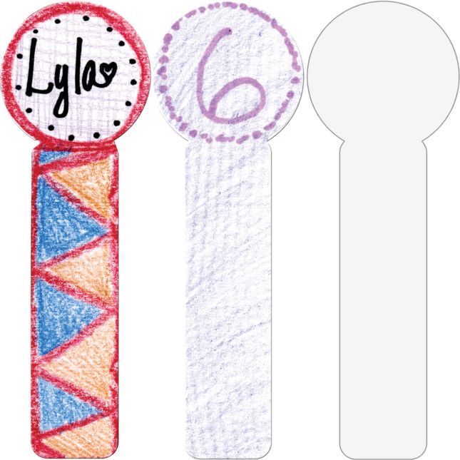 Ready-To-Decorate® Student Sticks - Large