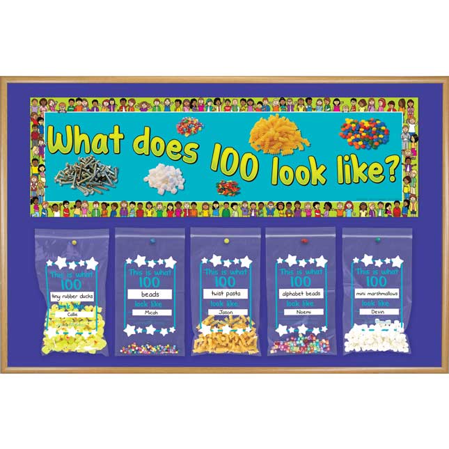 What Does 100 Look Like? Banner And Plastic Bags Kit - 1 banner, 32 bags