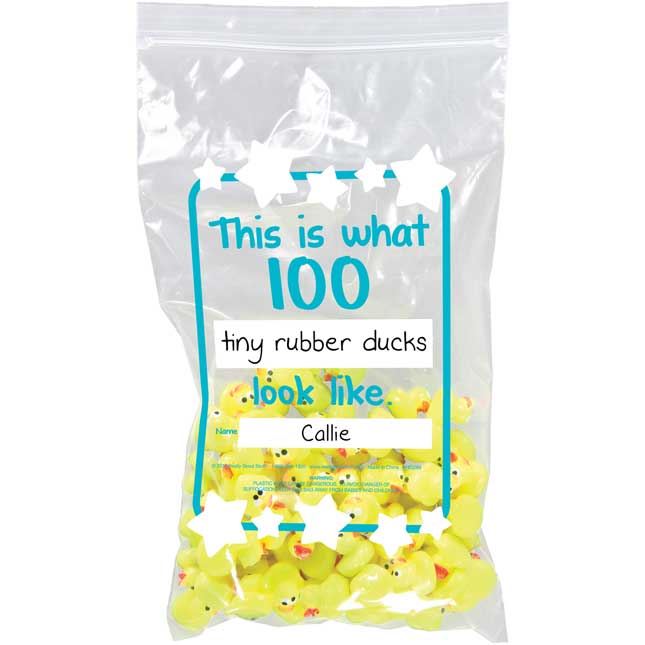 What Does 100 Look Like? Banner And Plastic Bags Kit - 1 banner, 32 bags