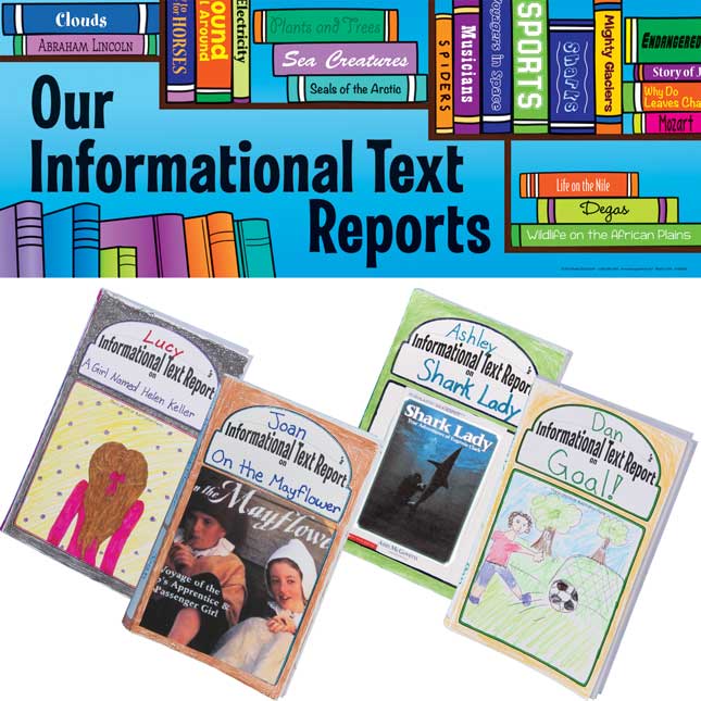 Ready-To-Decorate® 3-D Informational Text Report Bulletin Board Kit