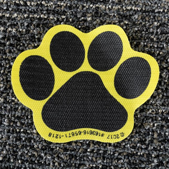 Carpet Mark-Its™ - Paws - 24 carpet spots