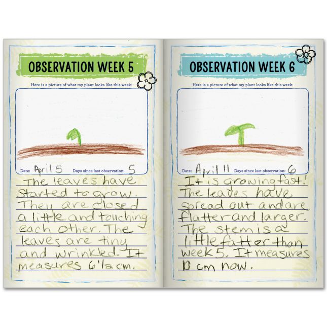 Plant Observation Journals - 24 journals