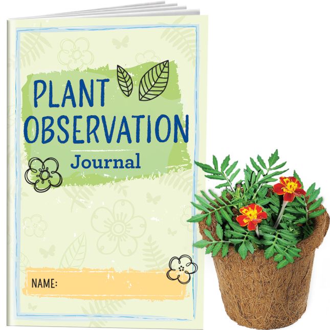 Plant Observation Journals And Wonder Soil Kit - 1 multi-item kit