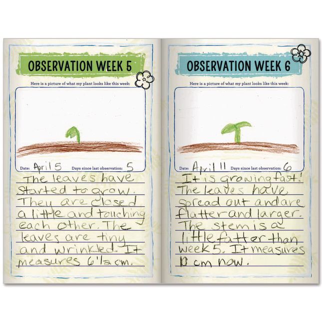 Plant Observation Journals And Wonder Soil Kit - 1 multi-item kit