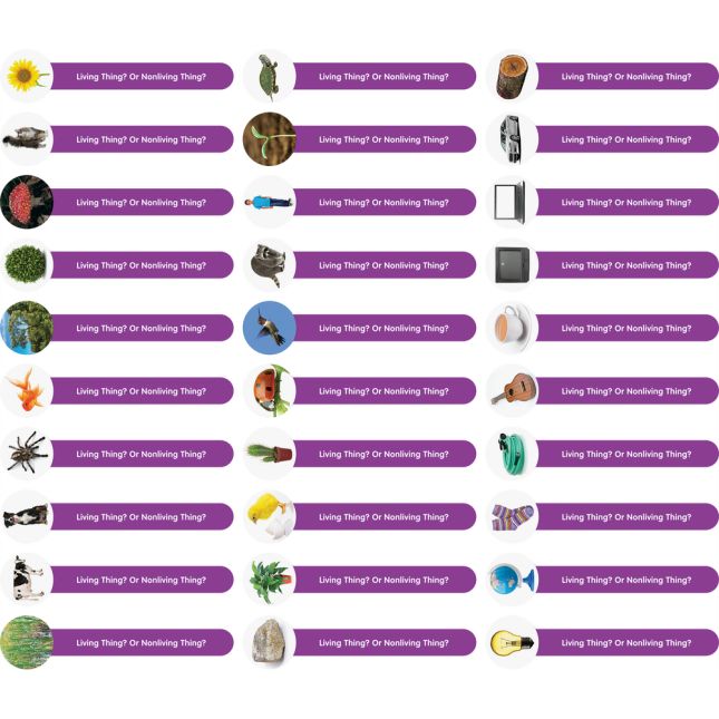 Science Sorts™ - Living/Nonliving Things - 40 sticks, 1 box