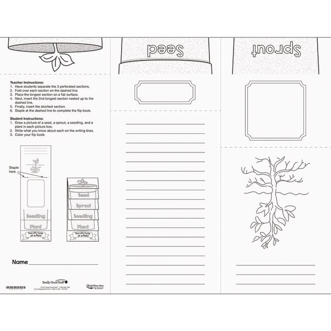 Build Your Own Flip Books™ - Life Cycle Of A Plant - 24 flip books