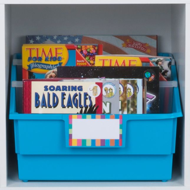 Chapter Book Library Bins™ With Dividers - Neon - 4 bins with dividers