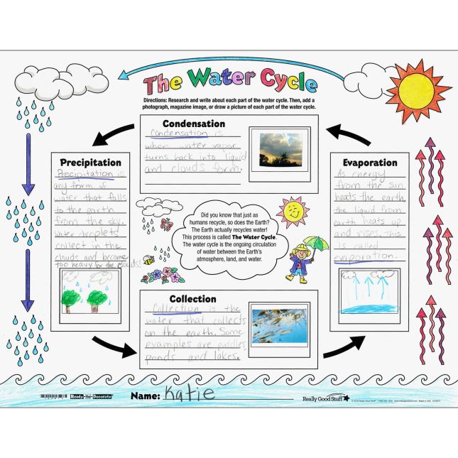 ReadyToDecorate® The Water Cycle Posters 24 posters