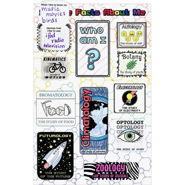 Ready-To-Decorate® Science About Me Jumbo Lift-A-Flaps - 24 posters