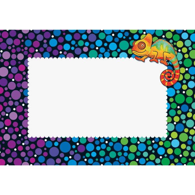 Chameleon Book Pouch Labels - Set Of 12_0