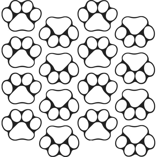 Ready-To-Decorate® Student Name Paw-Print Magnets - 32 magnets