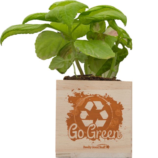 Go Green Kit - 1 multi-item kit