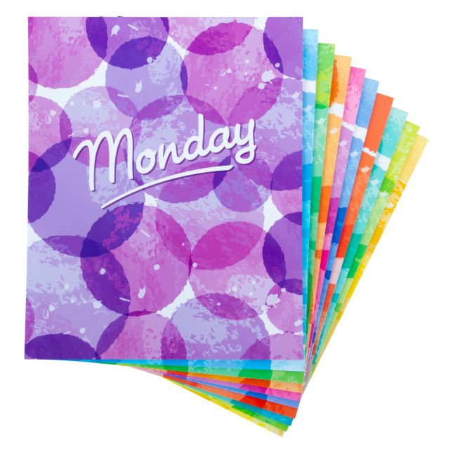 The Organized Teacher Folders Set Of 10