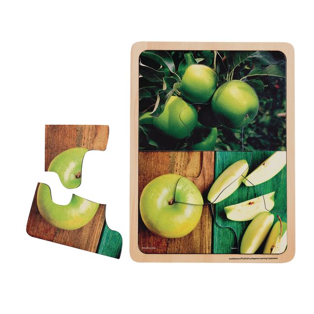 Excellerations® Fruit Photo Puzzles Set of 6