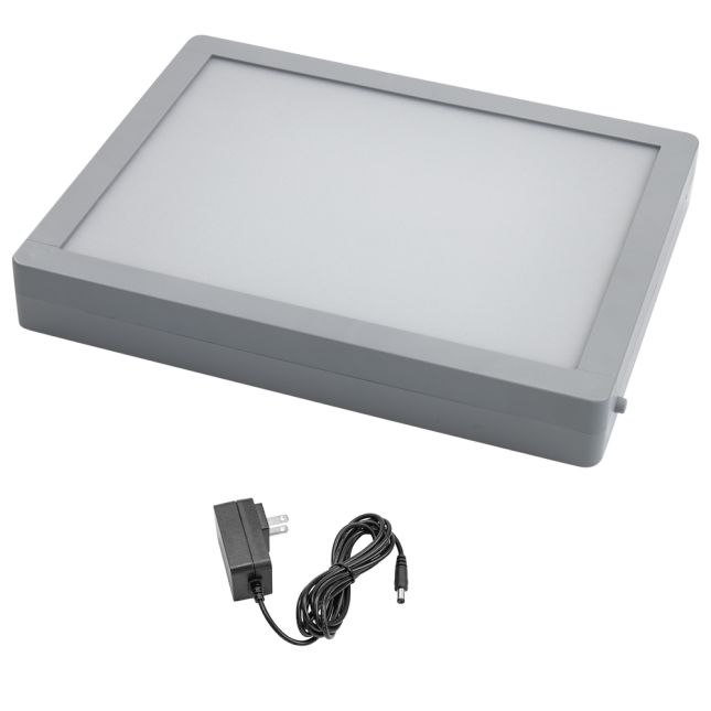 Excellerations® LED Light and Bright Panel