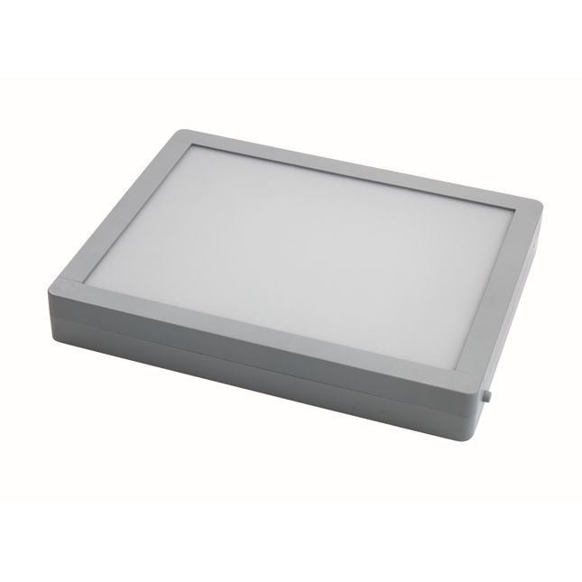 Excellerations® LED Light and Bright Panel