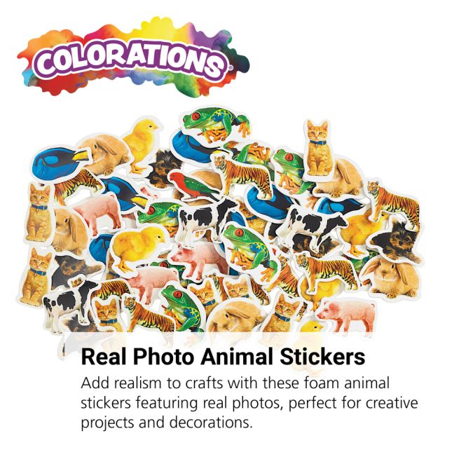 Colorations® Real Photo Animal Foam Stickers - 250 Pieces