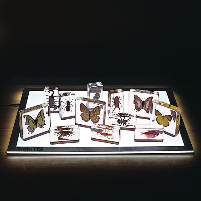 Excellerations® Acrylic Specimens Science Collection - Set of 12_1