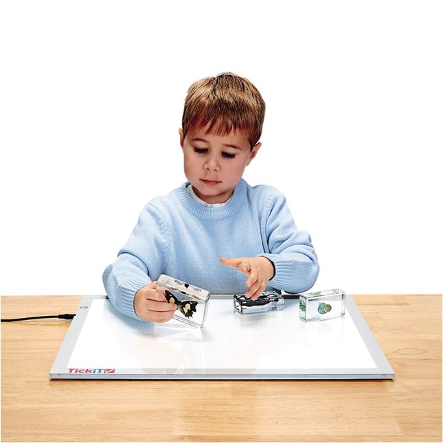Excellerations® Acrylic Specimens Science Collection - Set of 12_2