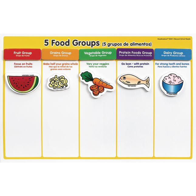 Excellerations® My Healthy Plate Magnet Activity Set