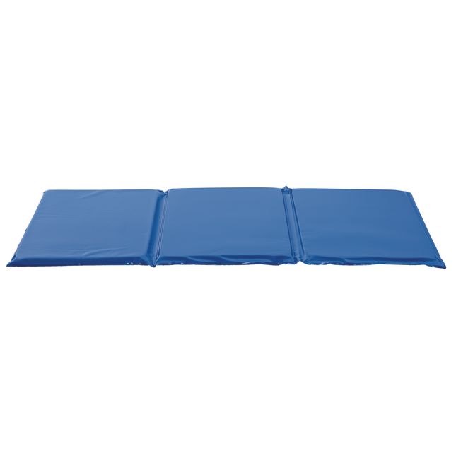 MyPerfectClassroom™ 1" Germ-Free Two-Tone Blue Rest Mat - 1 mat