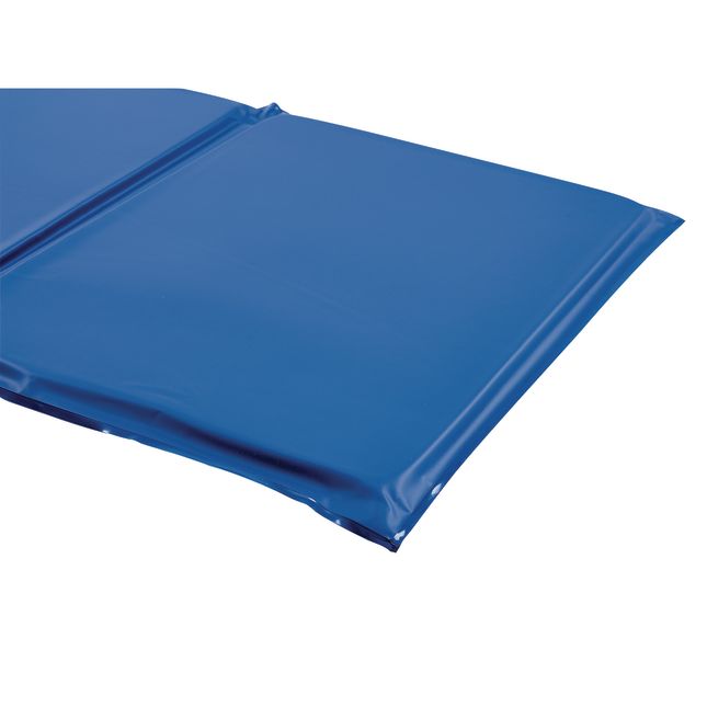 MyPerfectClassroom™ 1" Germ-Free Two-Tone Blue Rest Mats - Set of 12