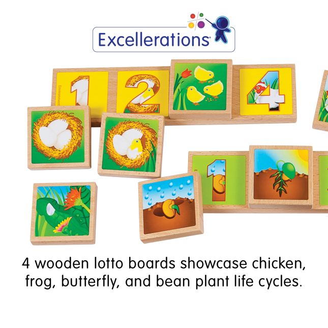 Excellerations® earlySTEM™ Life Cycles Sequencing Lotto