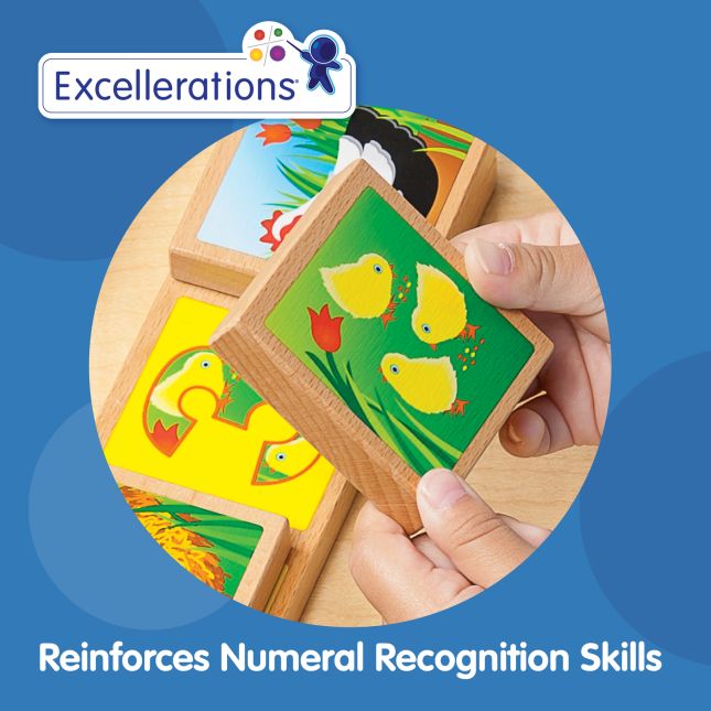 Excellerations® earlySTEM™ Life Cycles Sequencing Lotto