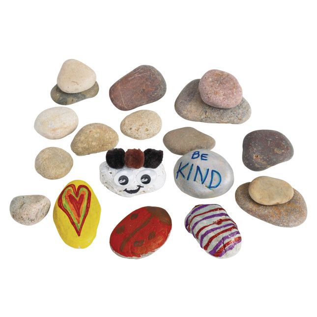 Assorted Craft Rocks 2 lb. Bag