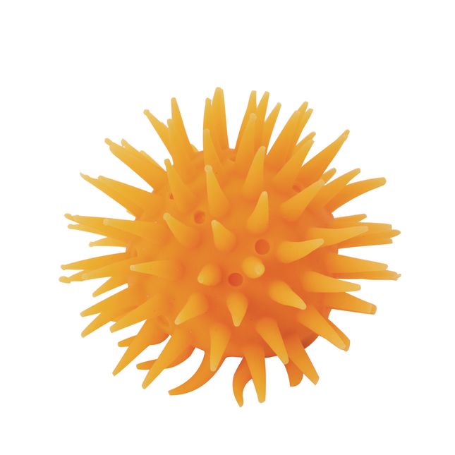 Spiky Sensory Toys - Set of 4