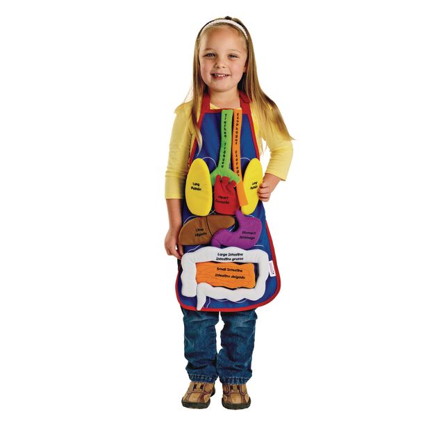 Excellerations® Organ Apron