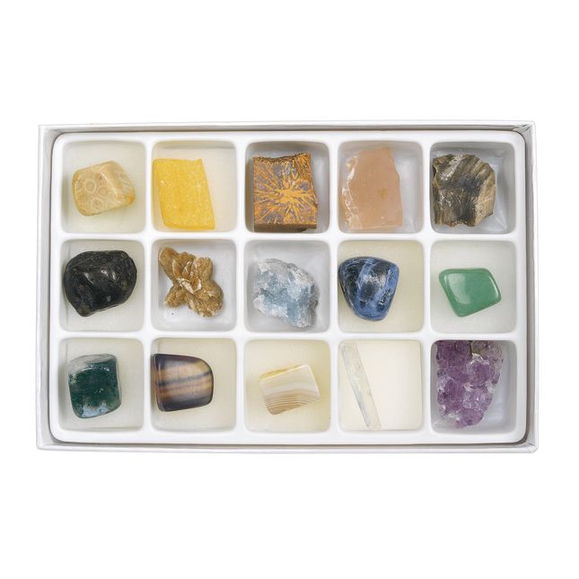 Excellerations® Rock Specimens - Set of 15