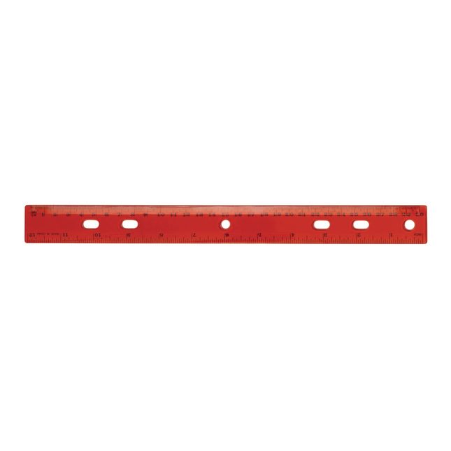 12" Standard and Metric Plastic Ruler