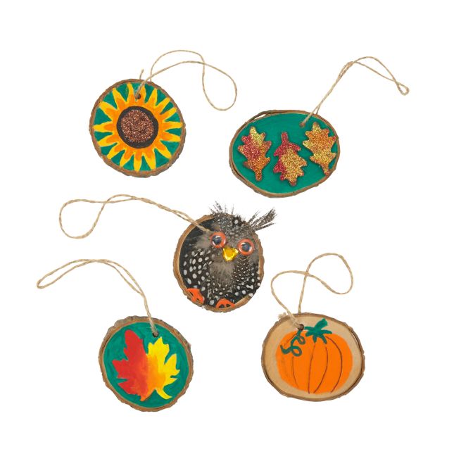 Natural Wood Slices, Pre-Drilled - Set of 24 with Twine