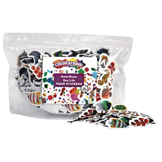 Colorations® Sea Life Photo Foam Stickers - 250 Pieces