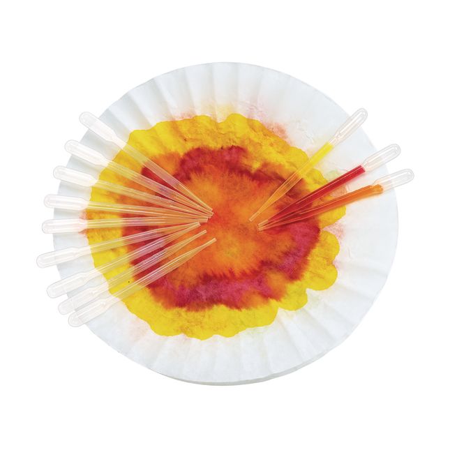 Colorations® Super Safe Plastic Droppers - Set of 12