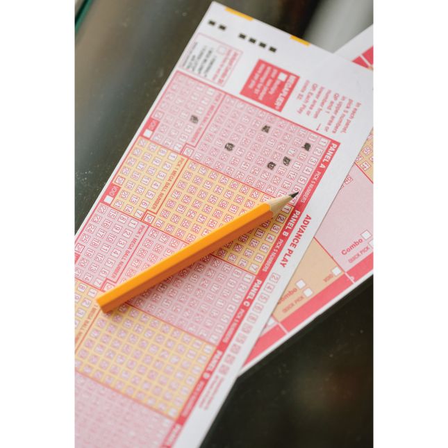 Small Pencils Classroom Pack – Set of 144