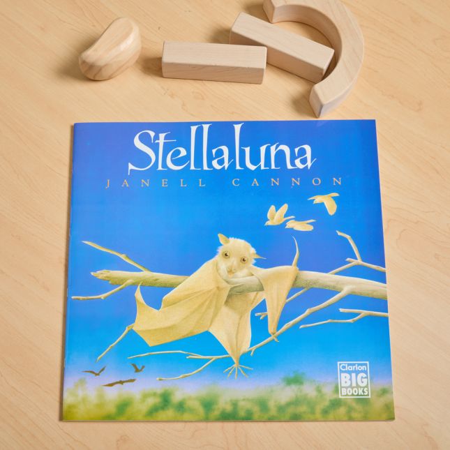 Stellaluna Big Book 16" x 16"