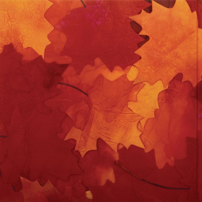 Red Leaf, Yellow Leaf Hardcover Book