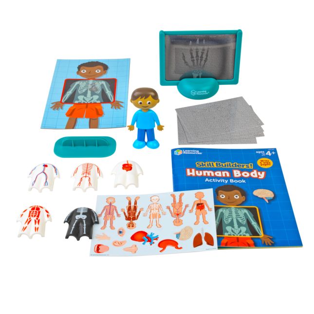 Skill Builders Human Body Activity Set - 17 pcs