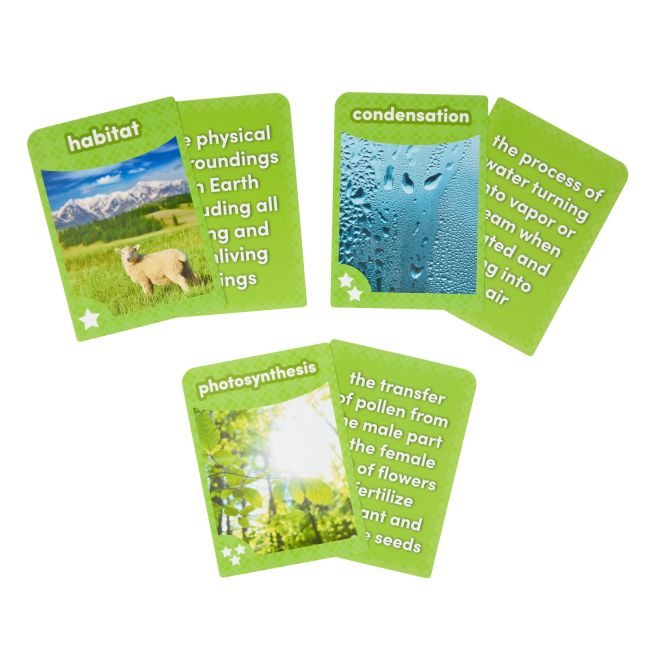 Academic Vocabulary Cards – Set of 120