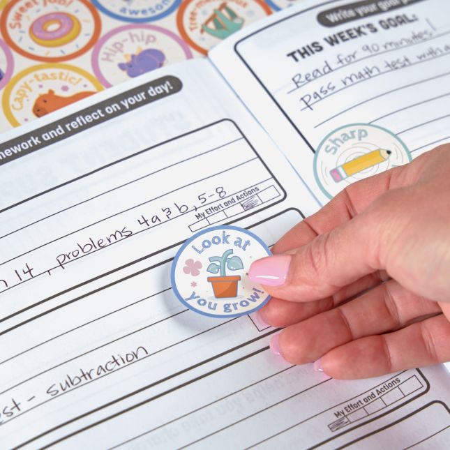 Really Good Stuff® Reward Sticker Pack - 100 stickers