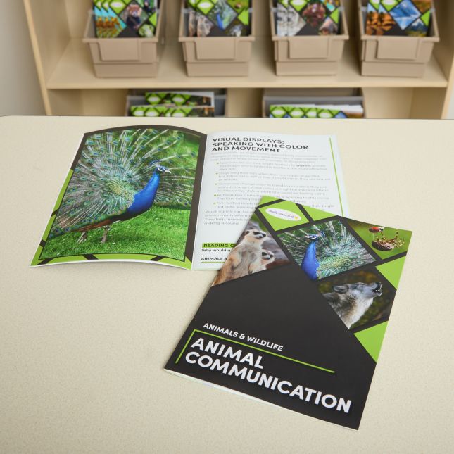Interest-Based Readers: Animals and Wildlife
