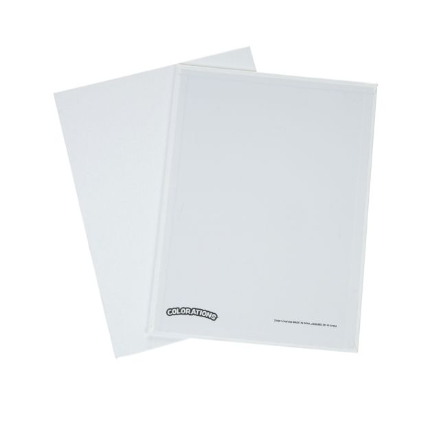 Colorations® 9" X 12" Canvas Panels - Set of 6